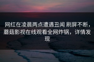 网红在凌晨两点遭遇丑闻 刷屏不断，蘑菇影视在线观看全网炸锅，详情发现