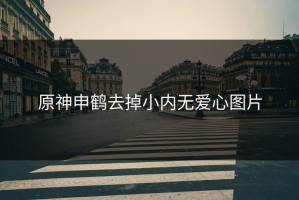 原神申鹤去掉小内无爱心图片